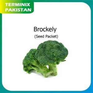 Seeds Pack of 3 (Broccoli) hybrid seeds F1 Quality