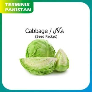 Seeds Pack of 3 (Cabbage) hybrid seeds F1 Quality
