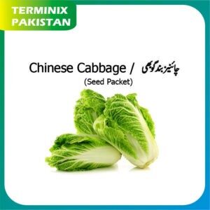 Seeds Pack of 3 (Chinese Cabbage) hybrid seeds F1 Quality