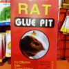 Dragon Rat Glue pit