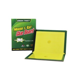 Green Treet – Mouse & Rat Glue Board