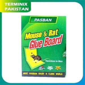 Green Treet – Mouse & Rat Glue Board – Terminix Pakistan