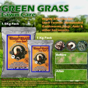 Green Grass lawn Care for Lawn Termite, Nematode’s, Earthworms