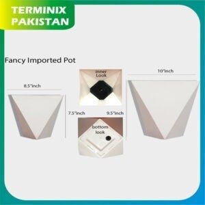 2 Pisces  Diamond Shape Imported Fancy Pot Home Decoration