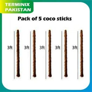 Coconut Plant Stick (5 FT) Pack Of 5 – Money Plant Straightener – Coir Stick For Plants – Coir Poles For Climbing Indoor Plants