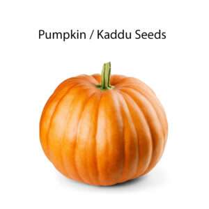 Pumpkin Seeds Pack (10-12 seeds in Each Pack) F1 Quality