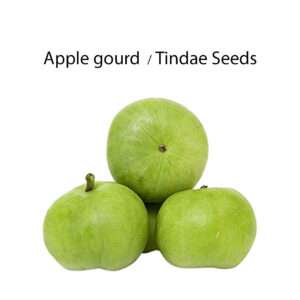 Apple Gourd Seeds (8-10 Seeds in Each Pack) F1 Quality