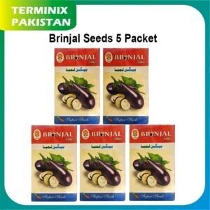 Gol Baingan / Brinjal Seeds of 5 pack’s good quality seeds
