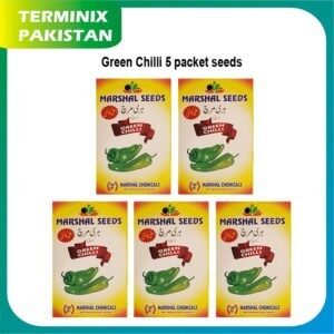 Green Chilli Seeds of 5 pack’s