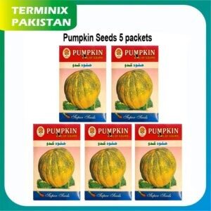 Pumpkin Seeds of 5 pack’s good quality seeds
