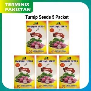 Turnip Seeds of 5 pack’s good quality seeds