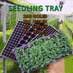 Seedling Trays /200 Holes/128 Holes/ 72 Holes/ 32 Holes