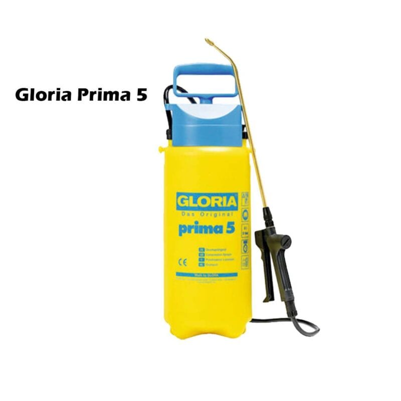 Gloria Prima 5