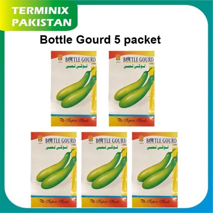 Tinda / Apple Gourd Seeds of 5 pack’s good quality seeds - Image 1