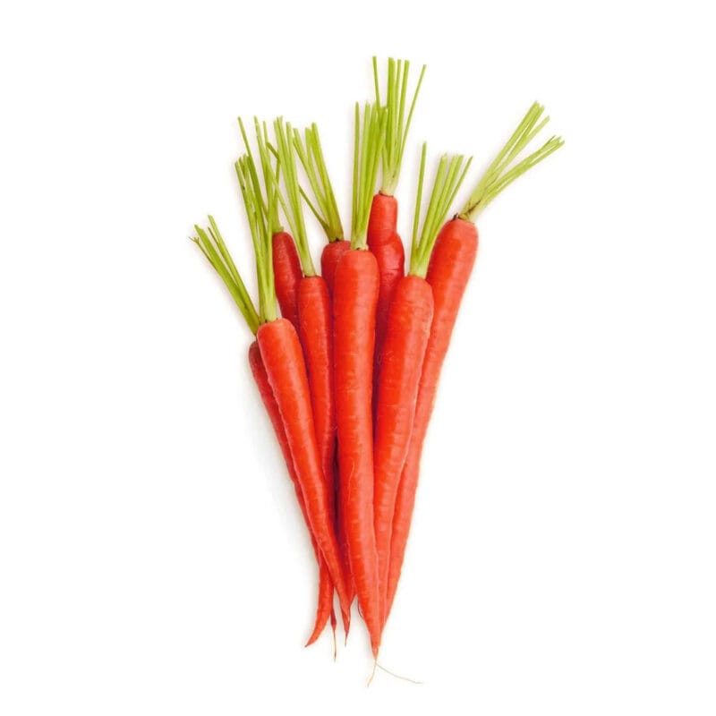 red carrot