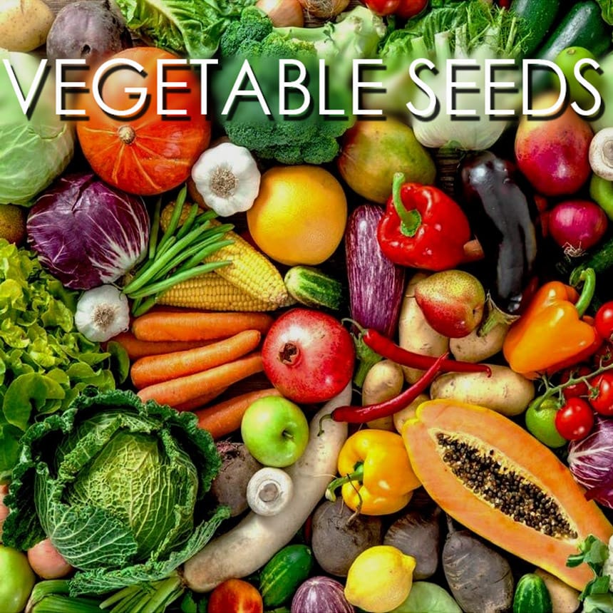 vegetable seeds