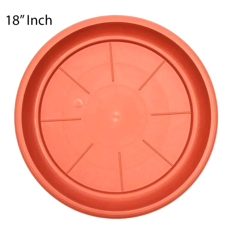 18 inch Plate