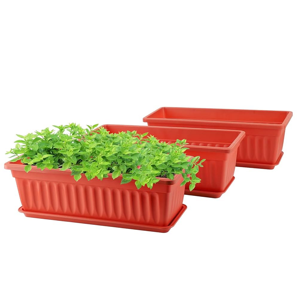 61bFFguSu3L. UF10001000 QL80