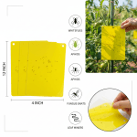 Insect Yellow Sticky Trap 3 Pec Set - Image 2