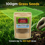 Pennington Smart Seed Sun & Shade Bermuda Grass Seeds - Image 2