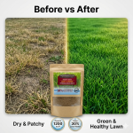 Pennington Smart Seed Sun & Shade Bermuda Grass Seeds 400g – Covers Up to 1200 sq ft - Image 2