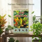 Marshal Indoor Plant Fertilizer – Complete Nutrition for Indoor Plants 400gm