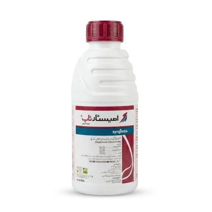 Amistar Top 325 SC 600ml Fungicide | Syngenta | Azoxystrobin 200g/L + Difenoconazole 125g/L