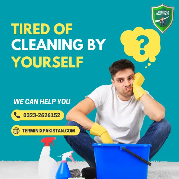 Cleaning Service